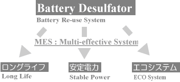バッテリー・ディサルフェーター、マルチエフェクティブシステム/MES : Multi-effective system